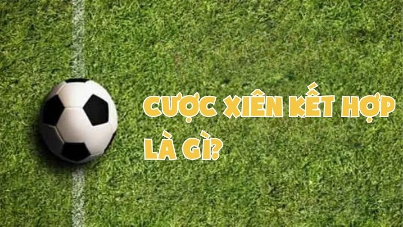 Sunwin1.live: Bí Kíp Cược Xiên Kết Hợp Cho Dân Cá Độ